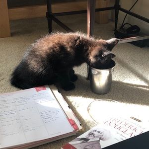 Meet your Posher, Seren